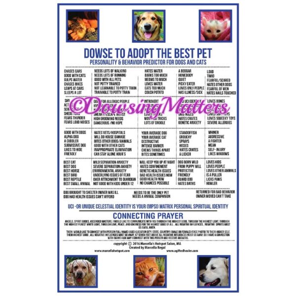 A poster with many different dogs and their names.