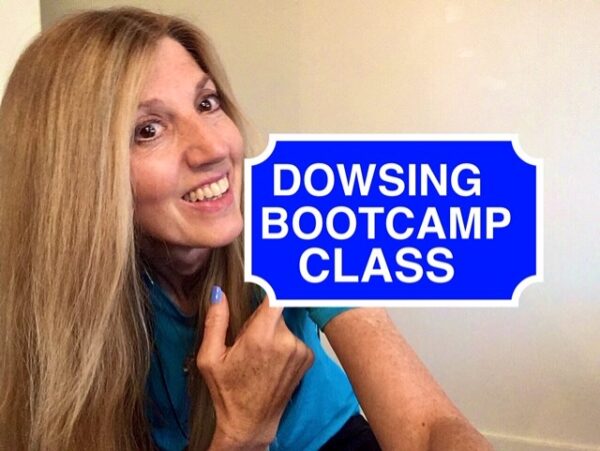 A woman holding up a sign that says " dowsing bootcamp class ".